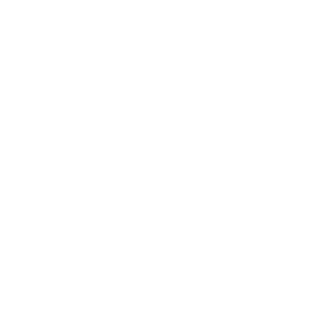 Georgia Nomads logo