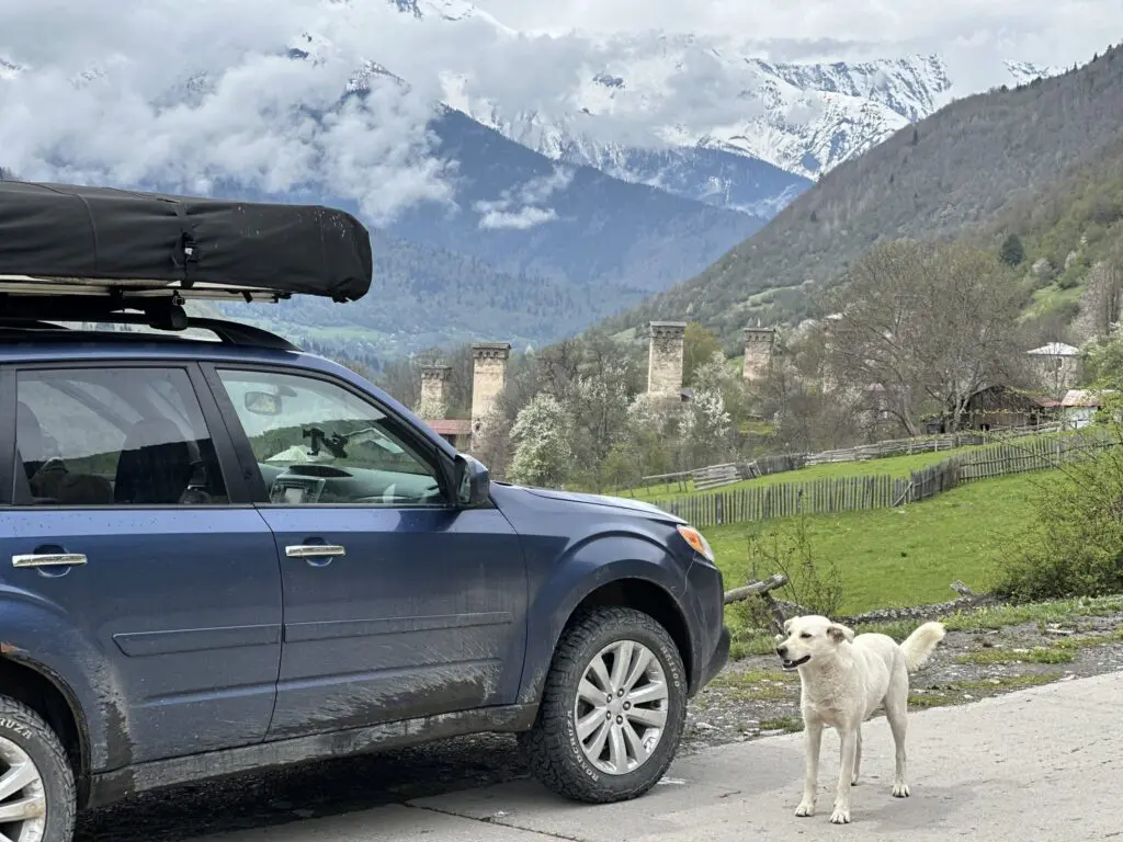 dog next to car with rooftop tent in Georgian mountains