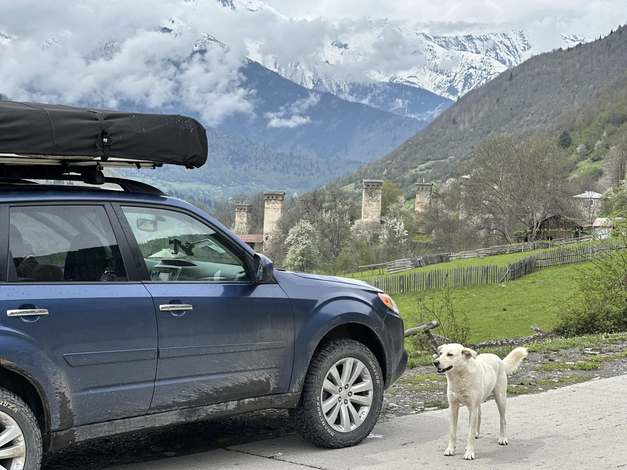 dog next to car with rooftop tent in Georgian mountains