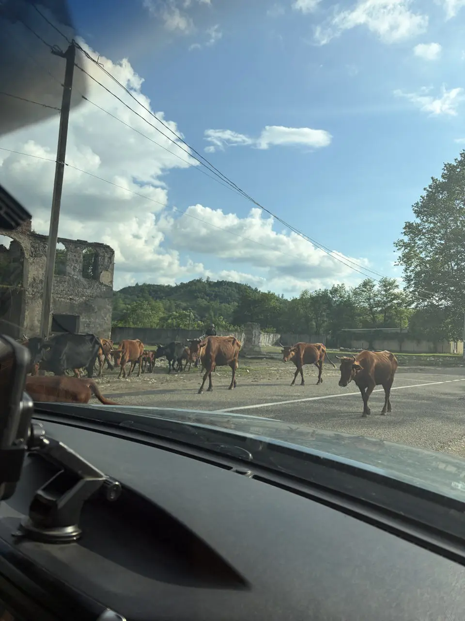 cows crossing a road in Georgia with ruins and mountains